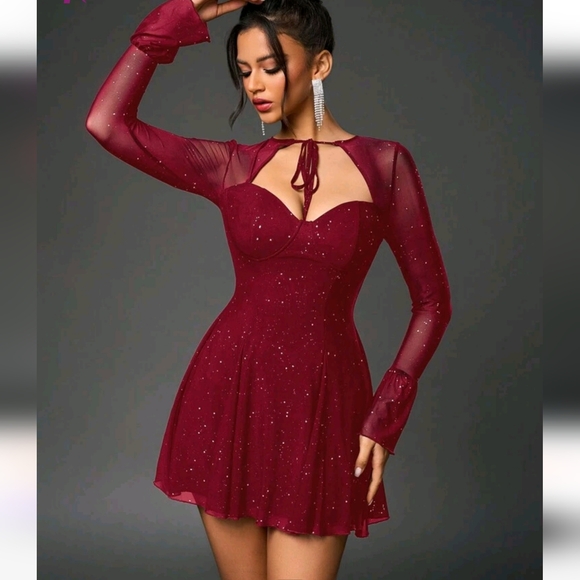 Elegant Burgundy Dress with Sheer Sleeves - Picture 1 of 3